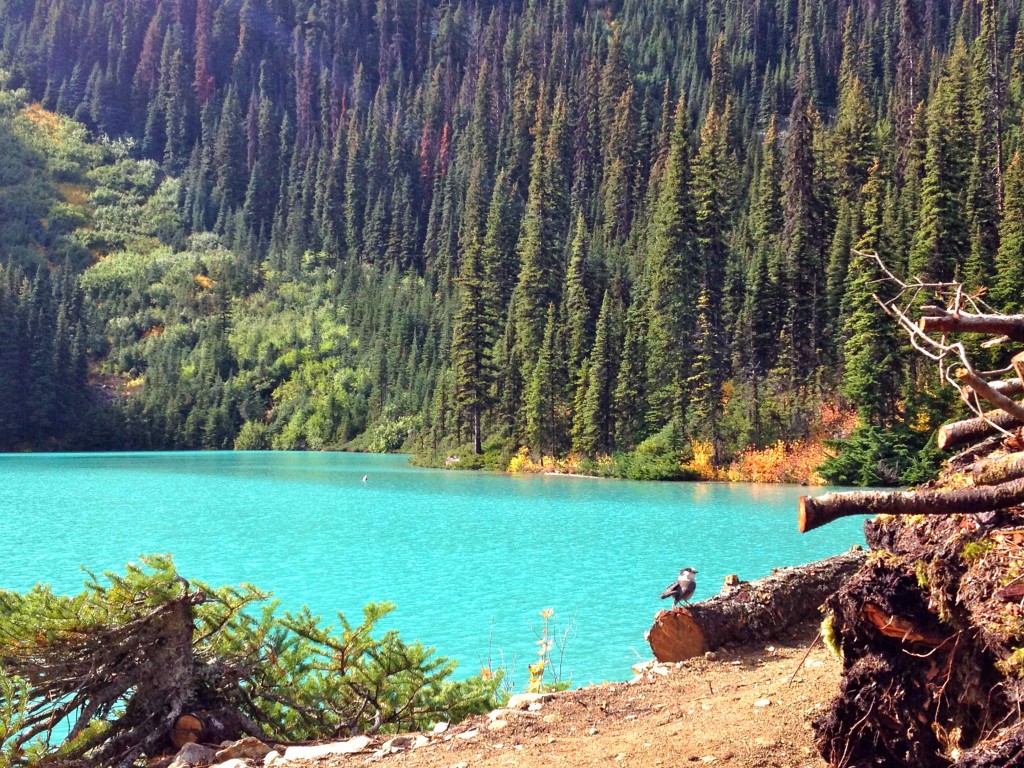Work and Travel - Joffre Lakes, British Columbia, Kanada