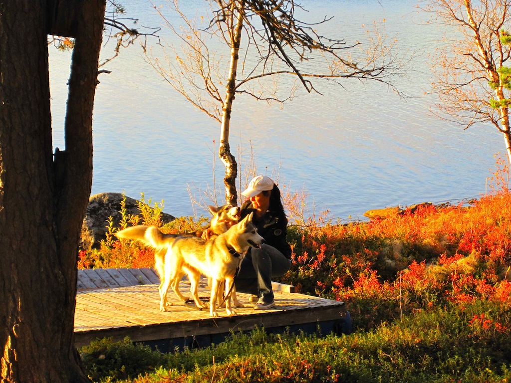 Neues Leben in Lappland: Marion mit ihren Huskys