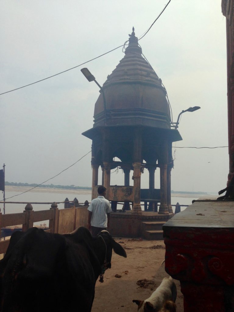 Varanasi, Indiens heilige Stadt: Kuh und Qualm am Manikarnika Ghat