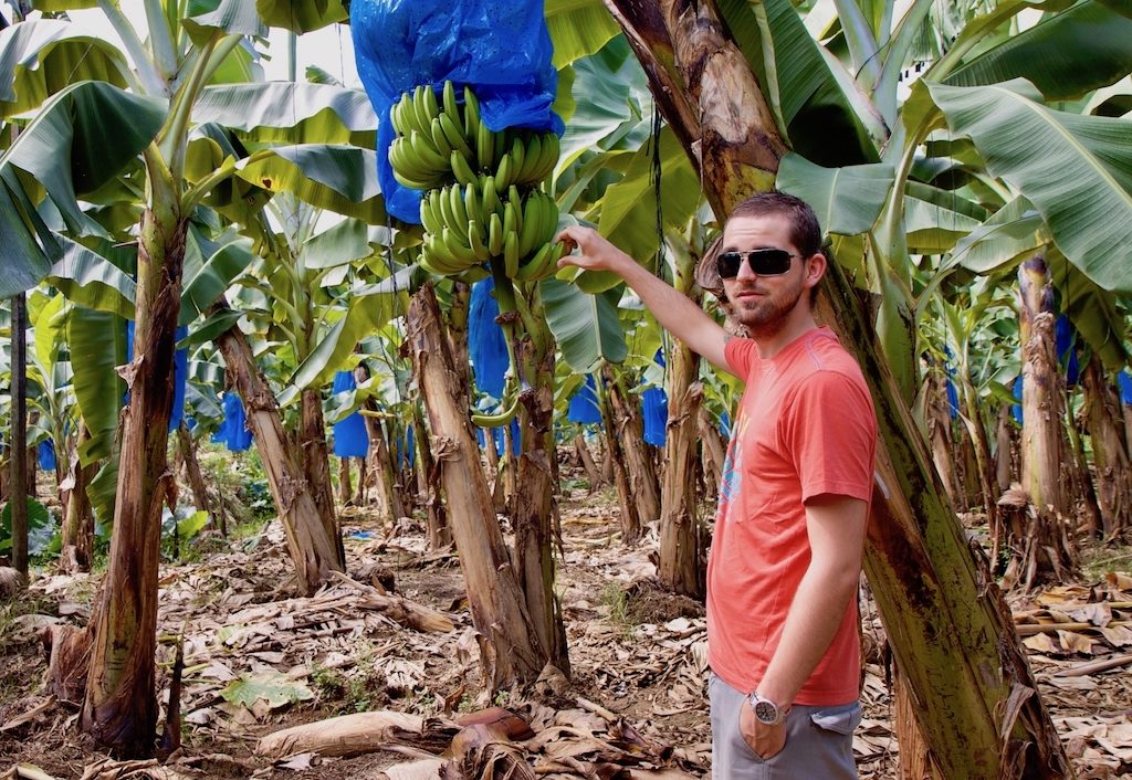 Auswandern nach Costa Rica: auf einer Bananenplantage in Limón