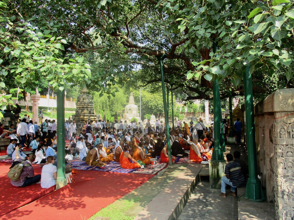 Buddhismus in Indien Unter Buddhas Baum