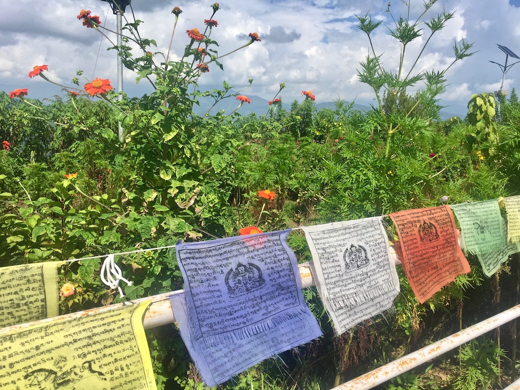 Gebetsfahnen in Pokhara Nepal