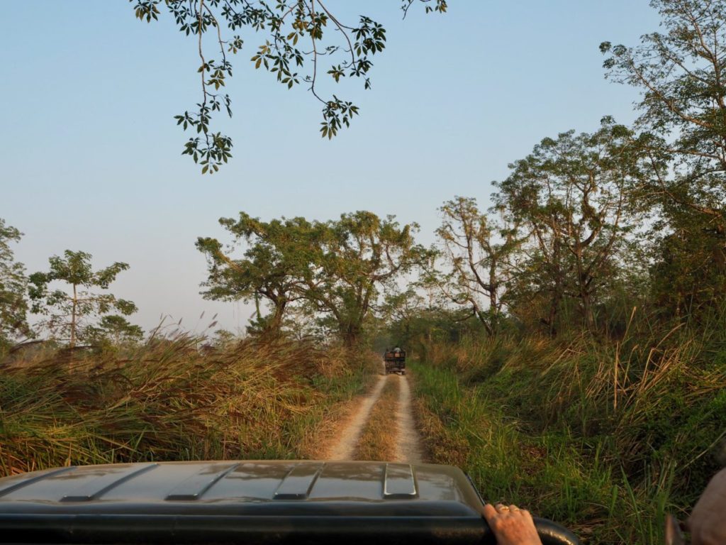 Jeep-Safari im Chitwan Nationalpark