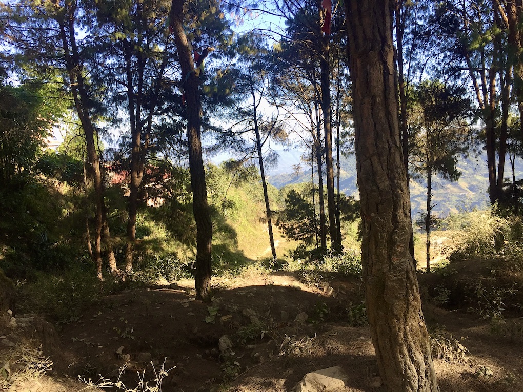 Natur pur in Nagarkot