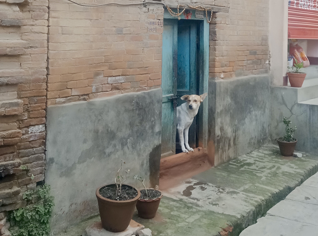 Gasse in Kirtipur Nepal